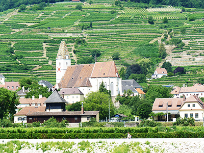Town Chuch and Vineyards